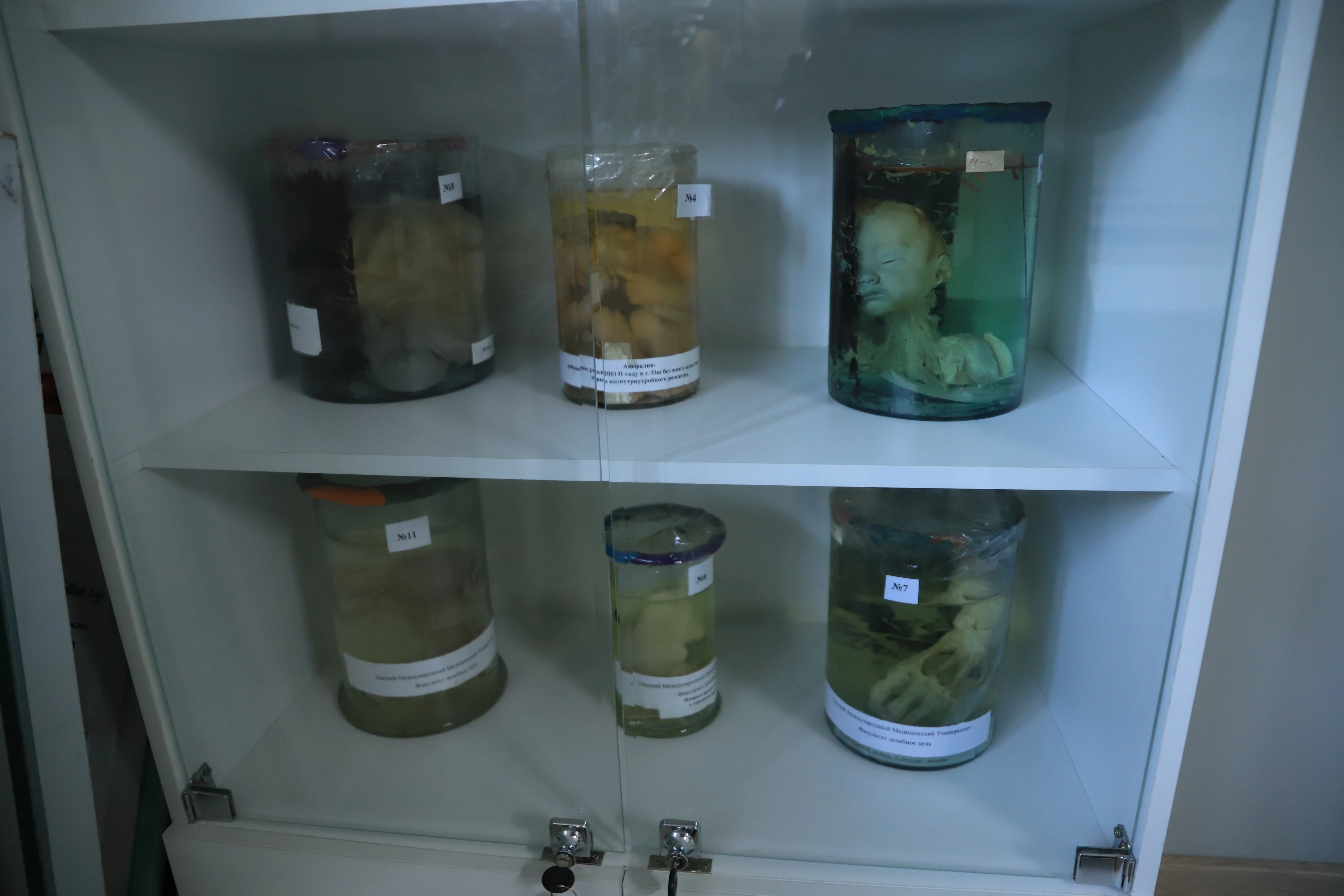 Medical university life